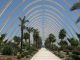 Umbracle, valencia