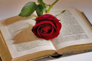 Giornata mondiale del libro Valencia