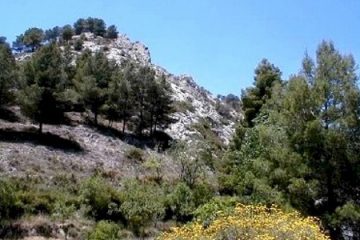 Trekking ad Alicante