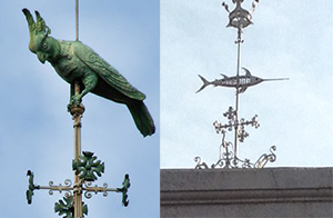 pesce spada e pappagallo : decorazioni mercato centrale