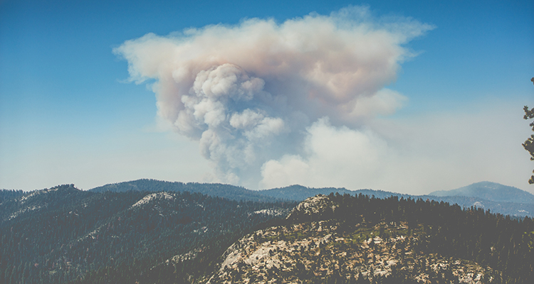 prevenir incendios forestales