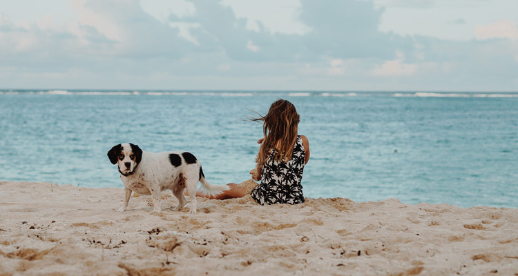 playas para ir con perros valencia