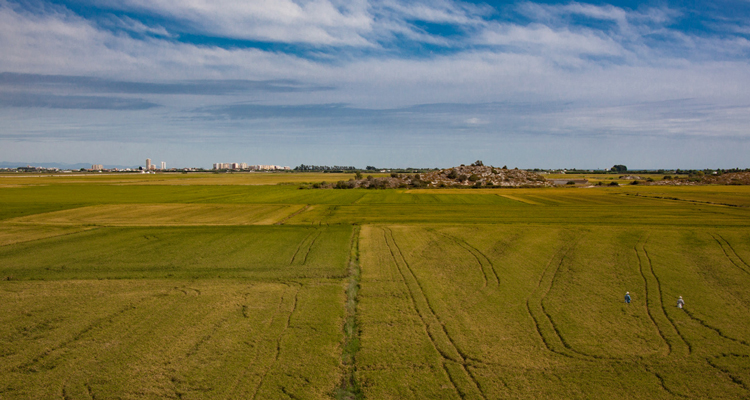 turismo la ribera del xuquer
