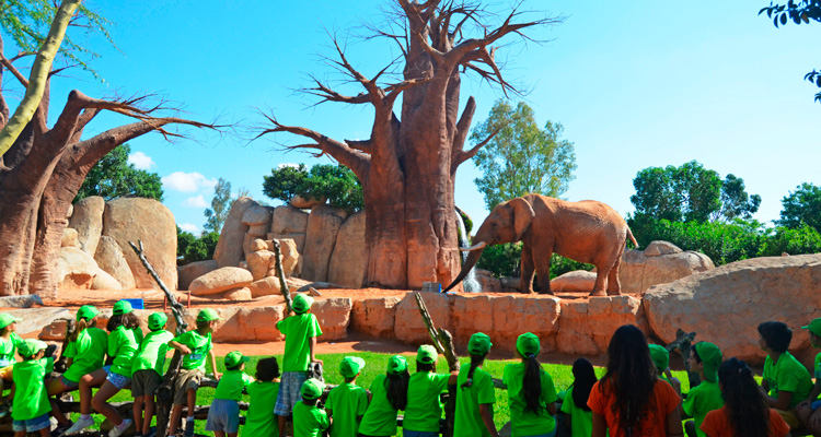 Escuela de Pascua Bioparc