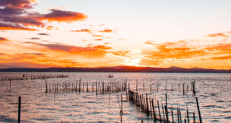 Curiosidades y características sobre la Albufera de Valencia