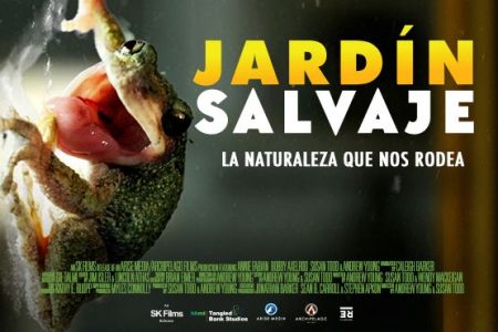 jardin salvaje valencia