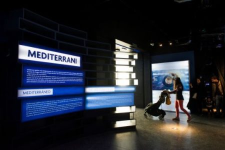 exposicion mediterrani ciudad de las artes y las ciencias valencia