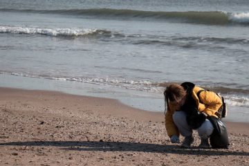 voluntariado ambiental en valencia