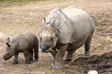 pasea virtualmente por terra natura benidorm