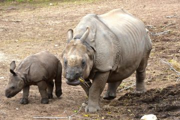 pasea virtualmente por terra natura benidorm