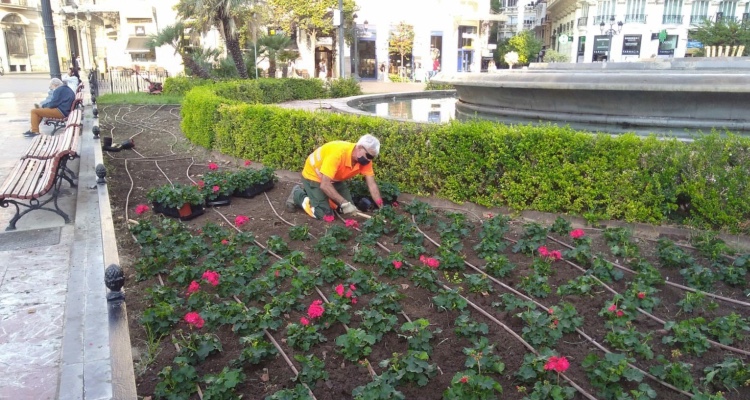 más de 6000 flores por el 9 de octubre
