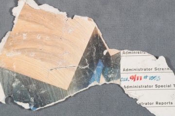 presentación del libro el archivo del polvo