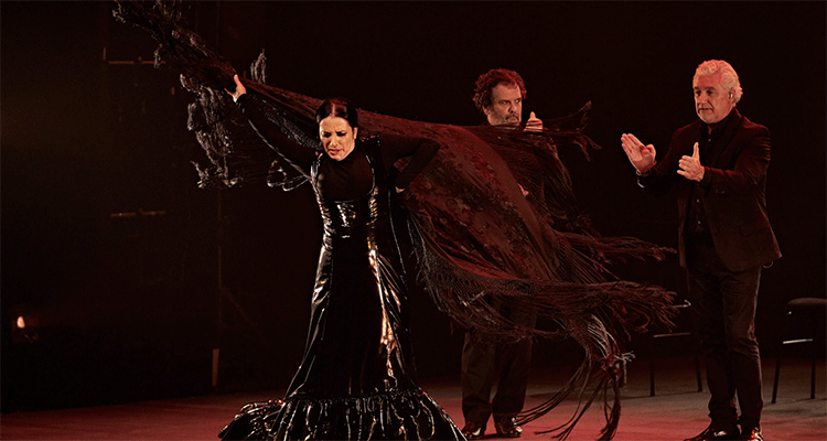Show de flamenco en Valencia