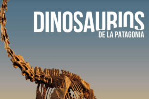 exposición en valencia