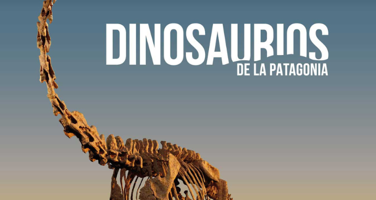 exposición en valencia