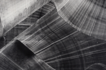 exposicion en valencia