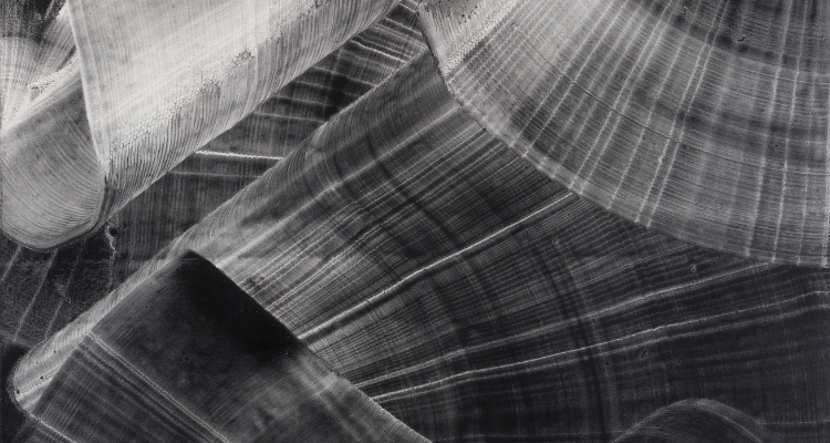 exposicion en valencia