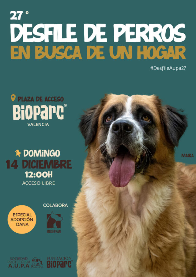 desfile de perros bioparc 2025